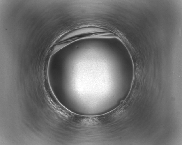 X0000080130386200612081235