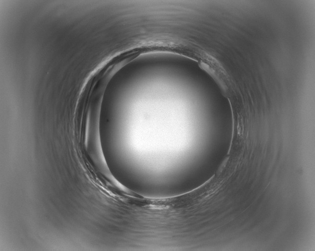 X0000080130388200612081235