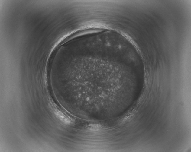 X0000080130391200612081235