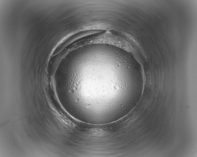 X0000080130392200612081235