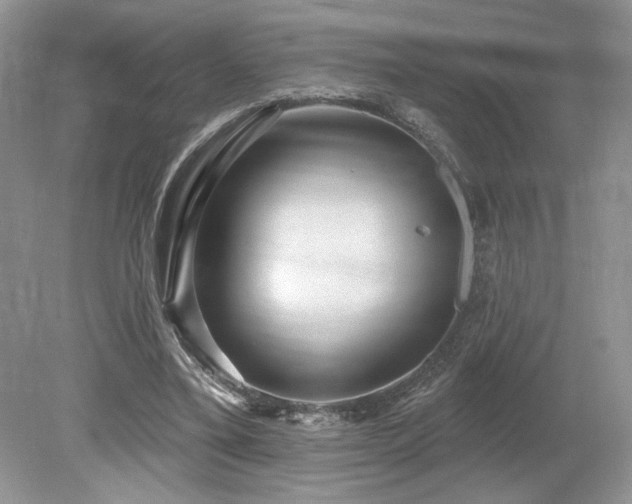 X0000080130395200612081235