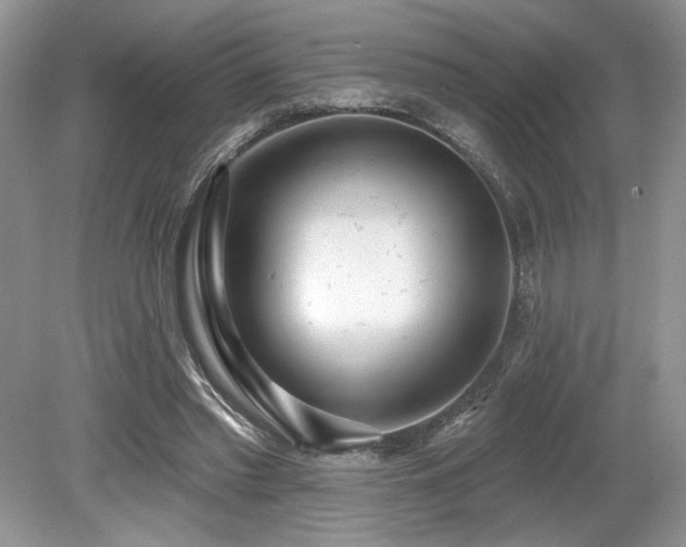 X0000080130397200612081235