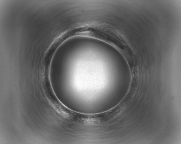 X0000080130400200612081235