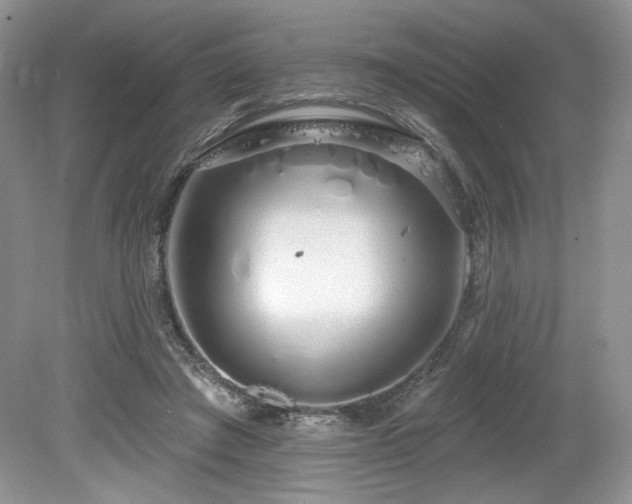 X0000080130401200612081235