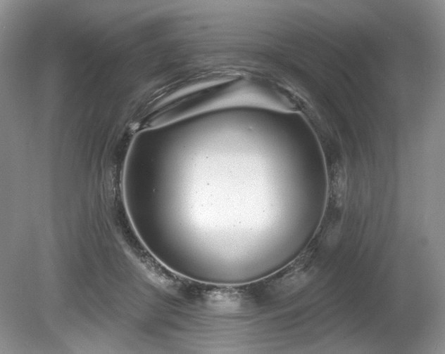 X0000080130410200612081235