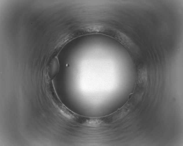 X0000080130414200612081235