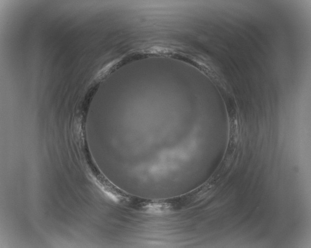 X0000080130415200612081235