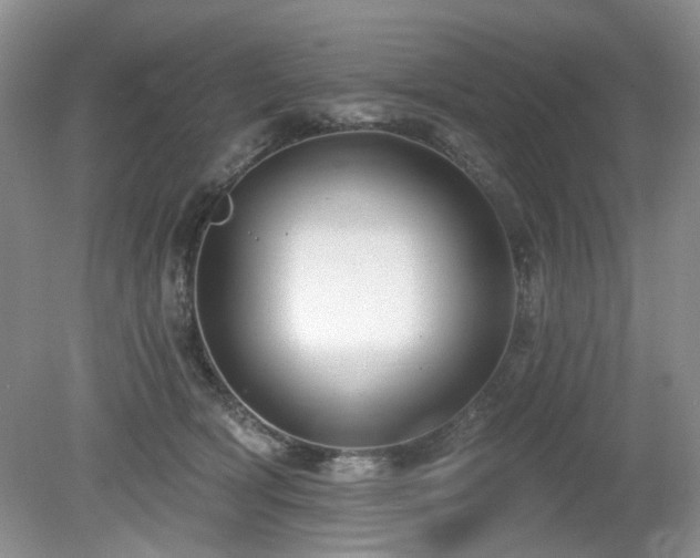 X0000080130418200612081235