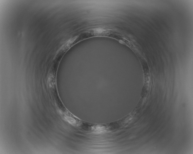 X0000080130419200612081235