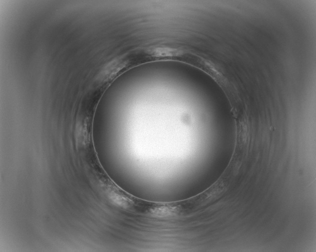 X0000080130422200612081235