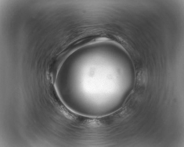 X0000080130424200612081235