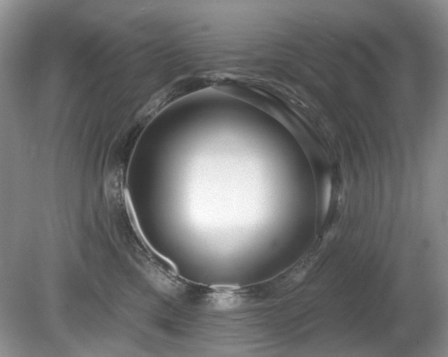 X0000080130425200612081235