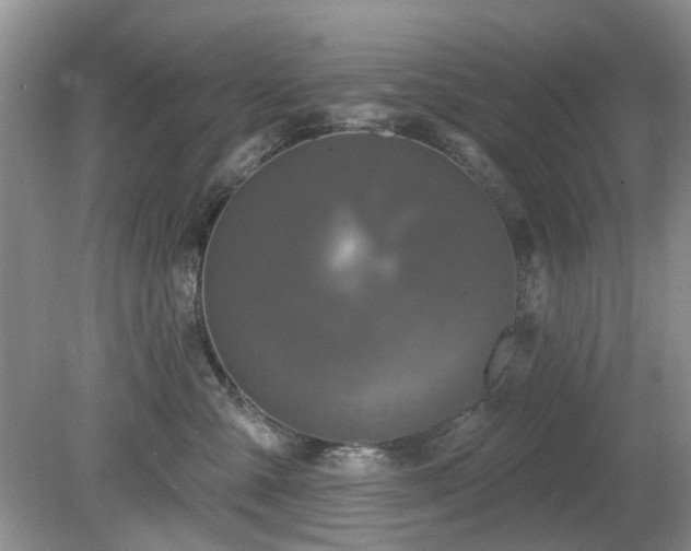 X0000080130427200612081235