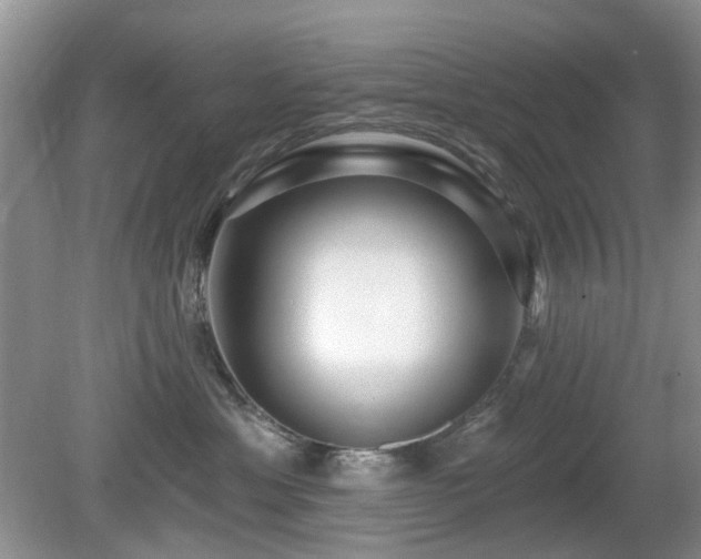 X0000080130429200612081235