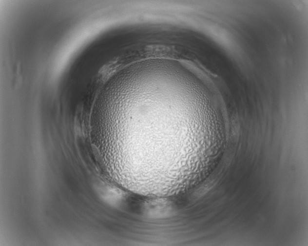 X0000080130431200612081235