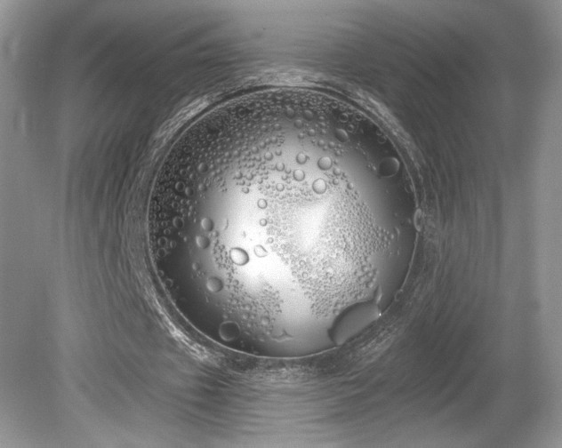 X0000080130433200612081234