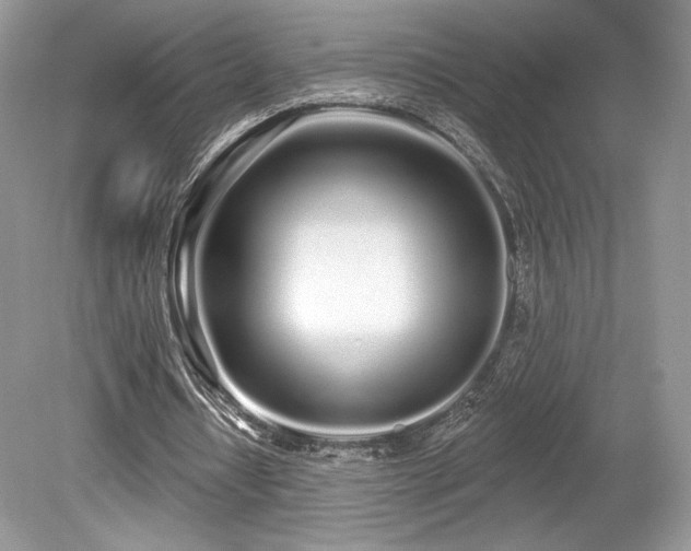 X0000080130434200612081234