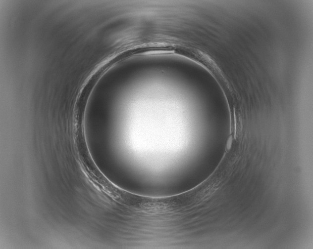 X0000080130435200612081234