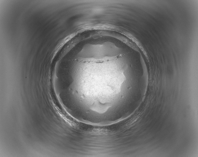 X0000080130437200612081234