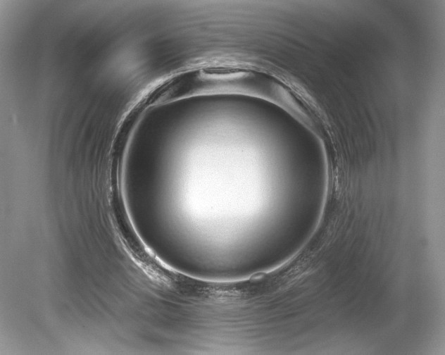 X0000080130438200612081234