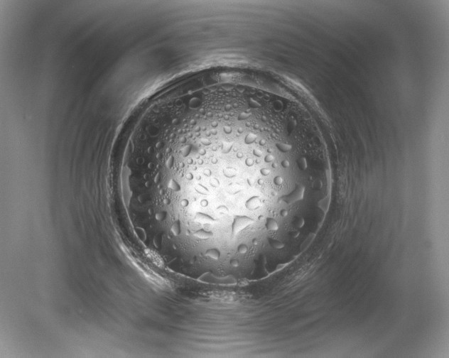 X0000080130439200612081234