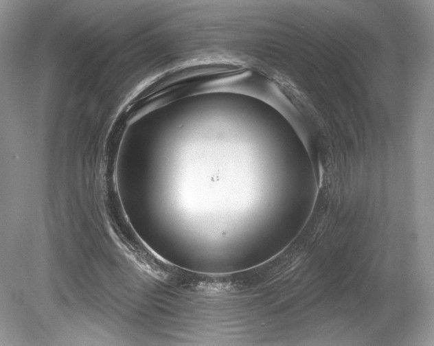 X0000080130440200612081234