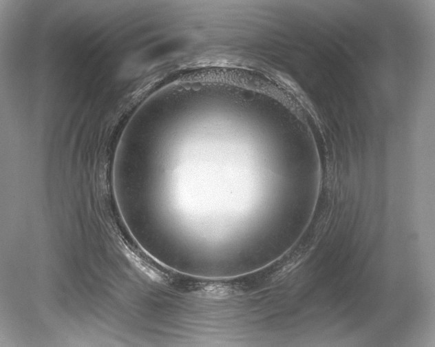 X0000080130441200612081234