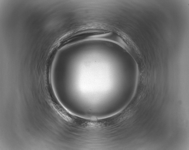 X0000080130442200612081234