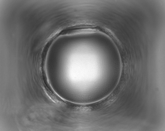 X0000080130443200612081234