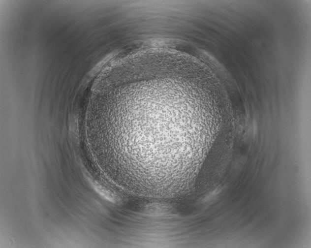 X0000080130444200612081234