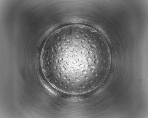 X0000080130445200612081234