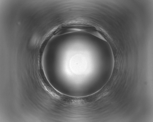 X0000080130446200612081234