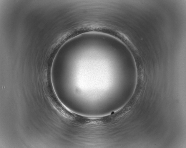 X0000080130447200612081234