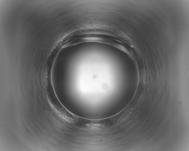 X0000080130448200612081234