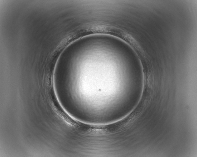 X0000080130449200612081234