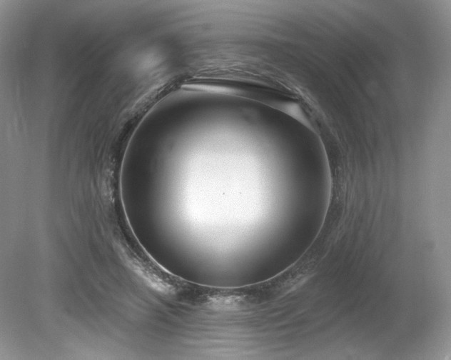 X0000080130450200612081234