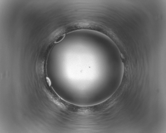 X0000080130454200612081234