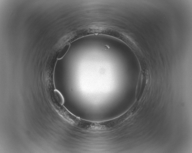 X0000080130455200612081234