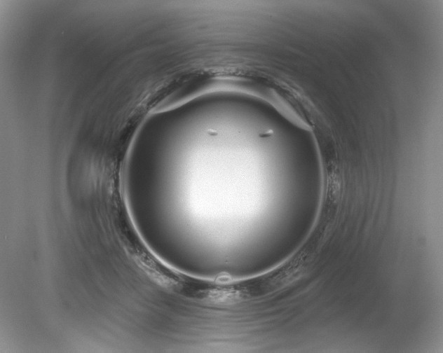 X0000080130458200612081234