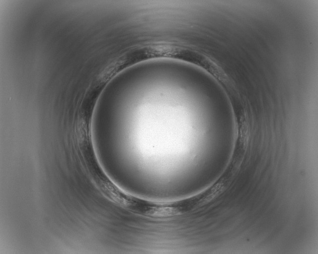 X0000080130459200612081234