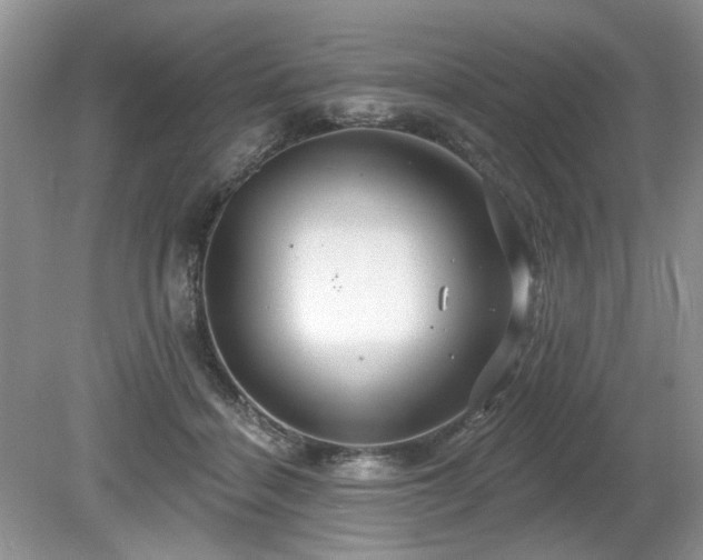 X0000080130460200612081234