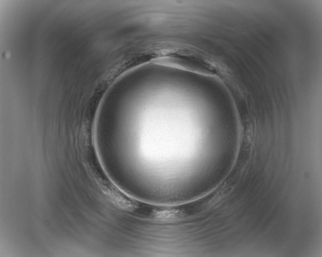 X0000080130461200612081234