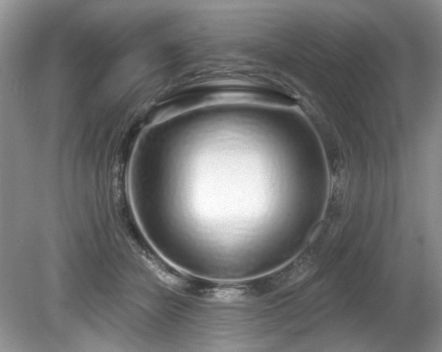 X0000080130462200612081234