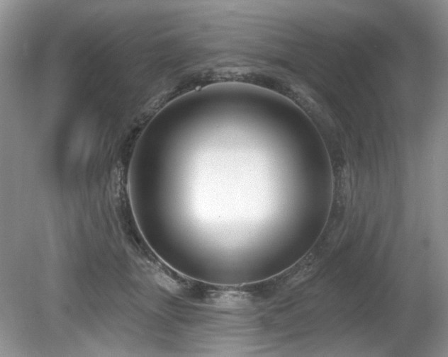 X0000080130463200612081234