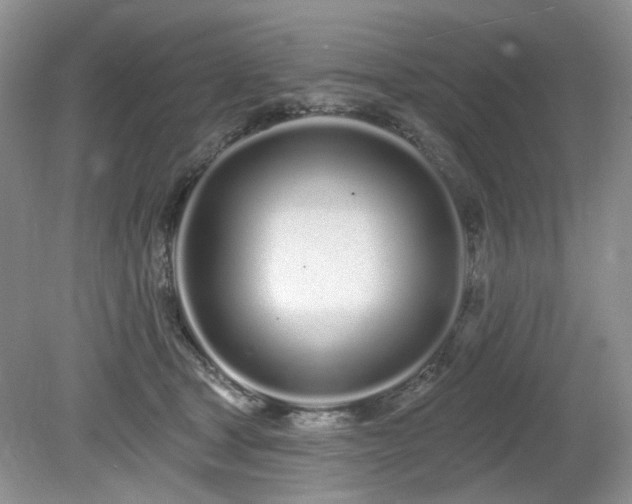 X0000080130465200612081234