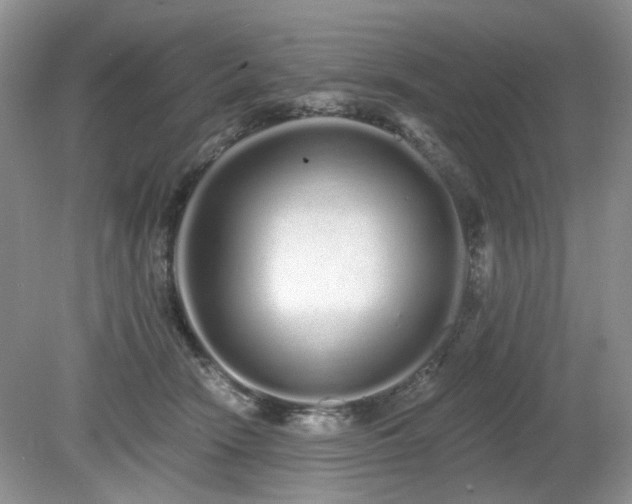 X0000080130466200612081234