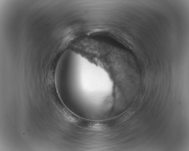 X0000080130467200612081234