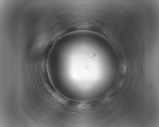 X0000080130468200612081234