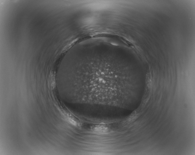 X0000080130471200612081235