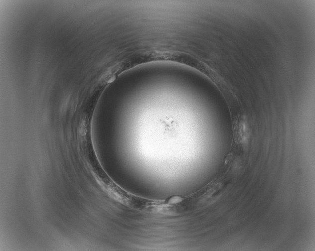 X0000080130472200612081235